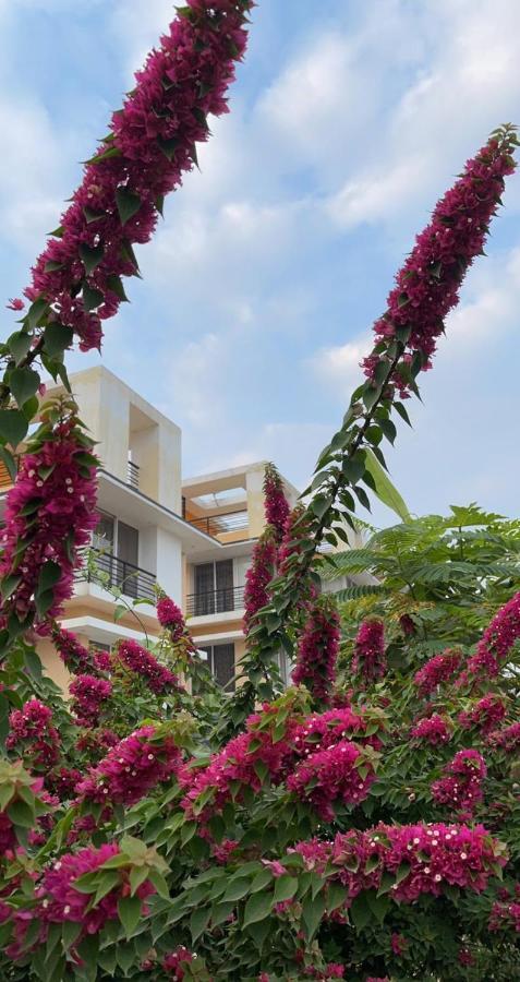 Royal Meadows - Igatpuri Bungalow B エクステリア 写真