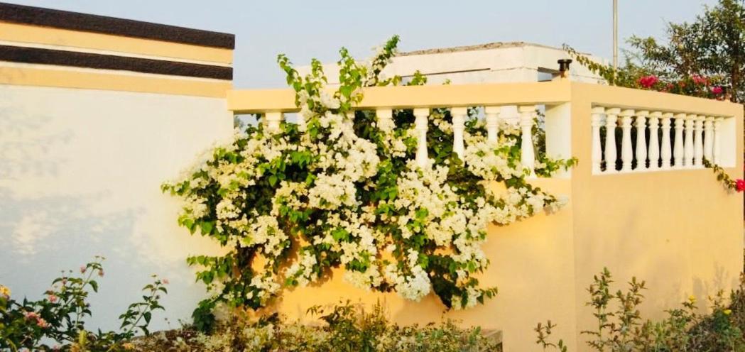 Royal Meadows - Igatpuri Bungalow B エクステリア 写真