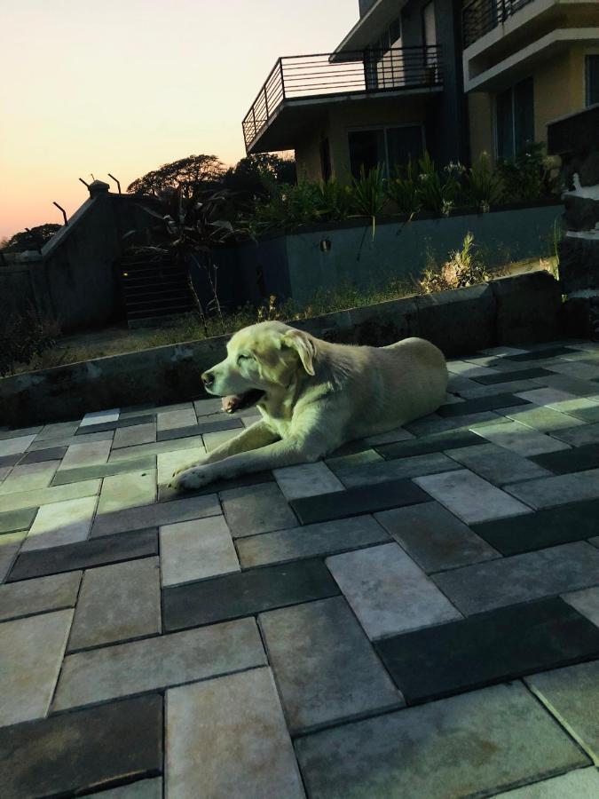 Royal Meadows - Igatpuri Bungalow B エクステリア 写真